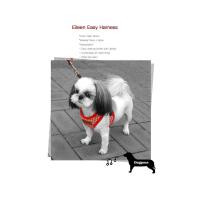 Dog Pose Eileen Easy Harness kšíry červená