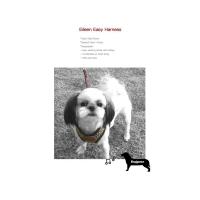 Dog Pose Eileen Easy Harness kšíry tmavě hnědá