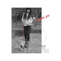 Dog Pose Eileen Easy Harness kšíry tmavě hnědá