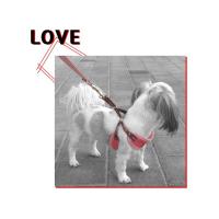 Dog Pose Quilting Easy Harness kšíry růžová