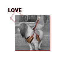 Dog Pose Quilting Easy Harness kšíry hnědá