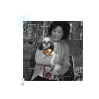 Dog Pose Quilting Easy Harness kšíry hnědá