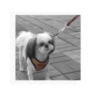 Dog Pose Quilting Easy Harness kšíry hnědá