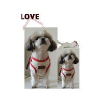 Dog Pose Happy Town Easy Harness kšíry červená