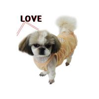 Dog Pose Fly tričko meruňková