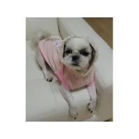 Dog Pose Bunny Bicycle mikina růžová