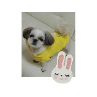 Dog Pose Bunny Bicycle mikina žlutá