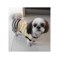 Dog Pose Bruno overal žlutá