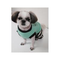 Dog Pose Bruno overal modrá