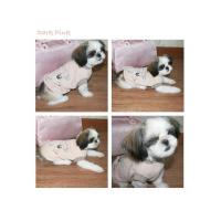 Dog Pose Ballerino tričko růžová