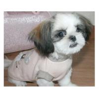 Dog Pose Ballerino tričko růžová