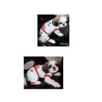 Dog Pose Sweet-love overal modrá