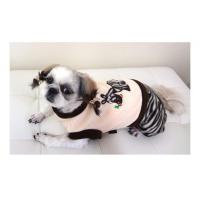 Dog Pose Zebra overal béžová