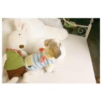 Dog Pose Cat's Eyes mikina modrá