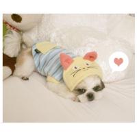 Dog Pose Cat's Eyes mikina modrá