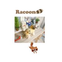 Dog Pose Racoon mikina žlutá