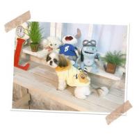 Dog Pose Racoon mikina žlutá