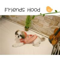 Dog Pose Friends Hood mikina oranžová