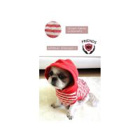 Dog Pose Friends Hood mikina oranžová