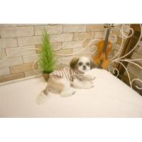 Dog Pose Friends Hood mikina šedá