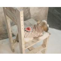 Dog Pose Friends Hood mikina šedá