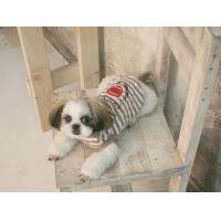 Dog Pose Friends Hood mikina šedá