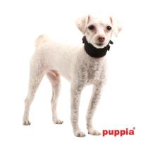 Puppia Soft Harness Mesh neckguard obojek černá