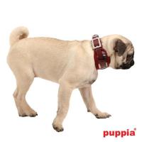 Puppia Vogue neckguard obojek béžová