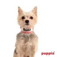 Puppia Polka Dot neckguard obojek růžová