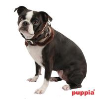 Puppia Modern Zebra neckguard obojek hnědá