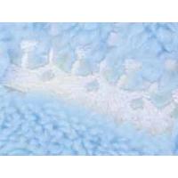 Dobaz Sweet Girl Coat kabátek modrá