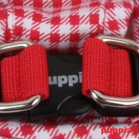 Puppia kšíry Sappy Harness B - červená