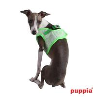 Puppia kšíry Cosmic Harness B - zelená