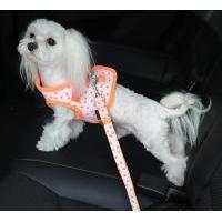 Puppia Cosmic Seatbelt Lead bezpečnostní pás do auta - S