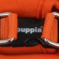 Puppia kšíry Blossom Harness B - oranžová