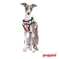 Puppia kšíry Blossom Harness B - námořnická modrá