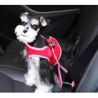 Puppia Atticus Seatbelt Lead bezpečnostní pás do auta