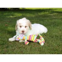 E.T. toy,textilní hračka duhová barva