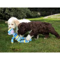 E.T. toy,textilní hračka modrá barva