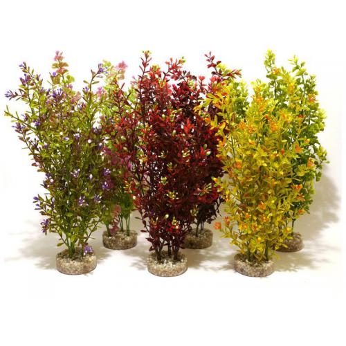 Sydeco Cocktail Plant Maxi 35 cm mix