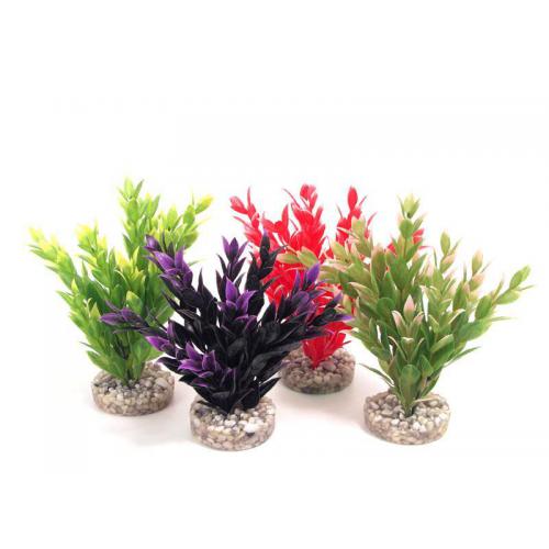 Sydeco Fiesta Ruscus 18 cm mix