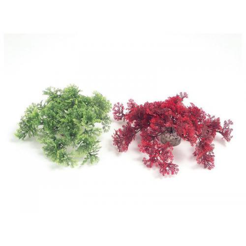 Sydeco Tropical Moss 9 cm mix