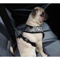Puppia Gala Dog  Seatbelt Lead bezpečnostní pás do auta černý M
