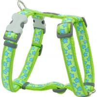 Red Dingo postroj střední se vzorem - Stars Turquoise on Lime Green