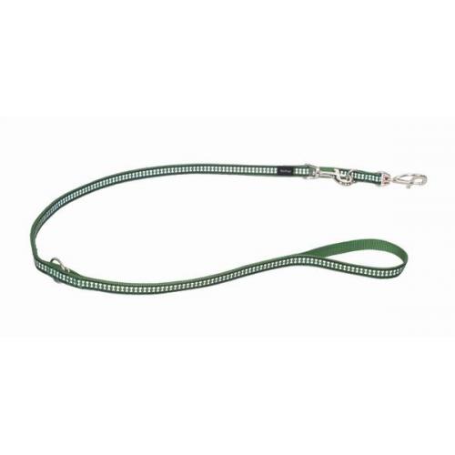 Red Dingo vodítko reflexní malé přepínací 2,5 m - zelené