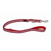 Red Dingo vodítko reflexní velké přepínací 25 mm x 2 m - červené