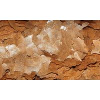 Dajana Tubifex 250ml