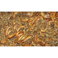 Dajana Natural Mix 250ml