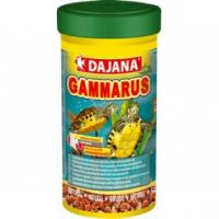 Dajana Gammarus 100ml