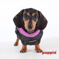 Puppia psí vesta MOUNTAINEER II černá